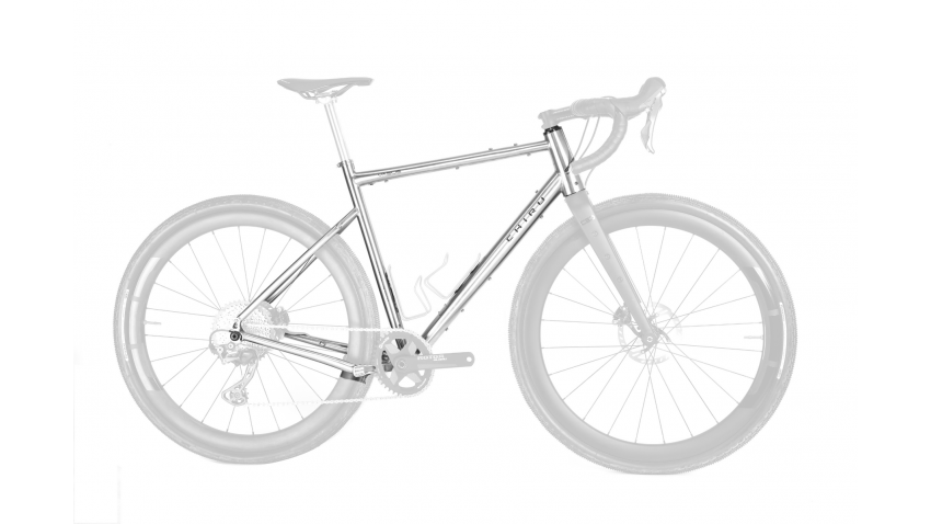 CHIRU VAGUS Cadre Seul